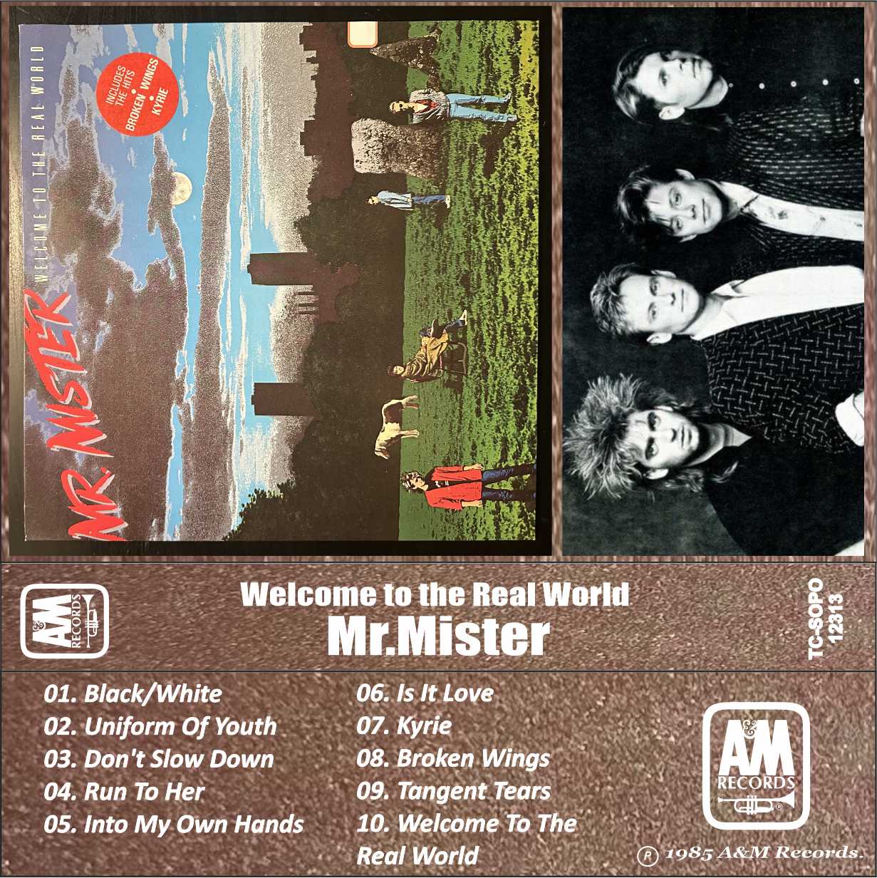 Mr.Mister-Welcome to the Real World